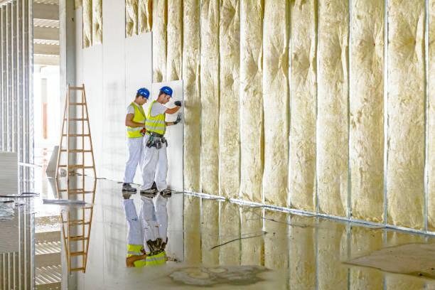 Best DIY Insulation Kits and Guidance in Poolesville, MD